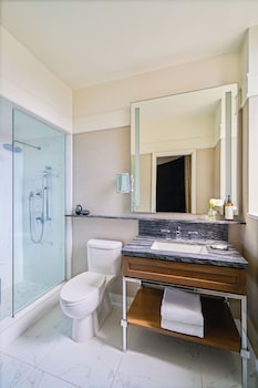 Suite, 1 Bedroom, City View (Palliser)