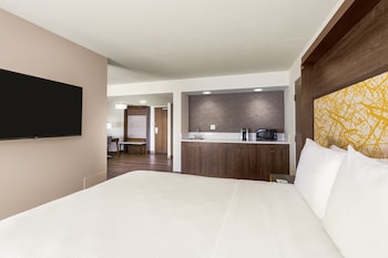Suite, 1 King Bed with Sofa bed