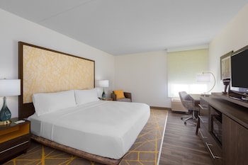 Standard Room, 1 King Bed, Roll-in Shower (Roll-In Shower)