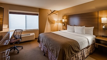 Traditional Room, 1 King Bed, City View