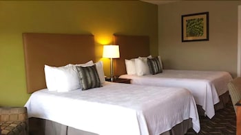 Standard Room, 2 Double Beds