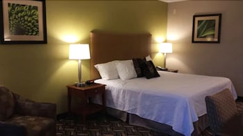 Standard Room, 1 King Bed