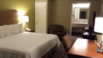 Standard Room, 1 King Bed
