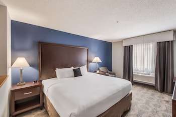 Room, 1 King Bed, Accessible