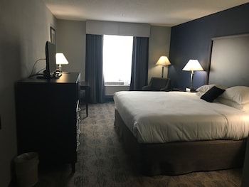 Room, 1 King Bed