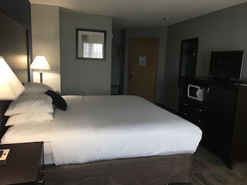 Room, 1 King Bed