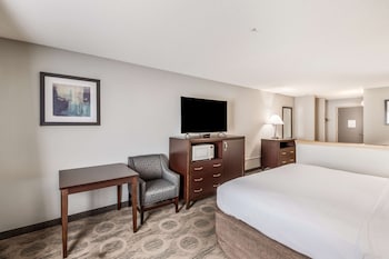 Suite, 1 King Bed