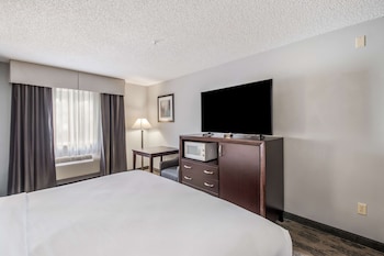 Room, 1 King Bed, Accessible