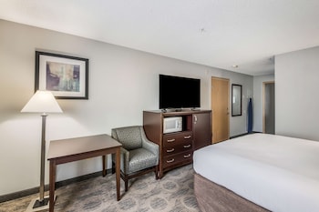 Room, 1 King Bed, Accessible