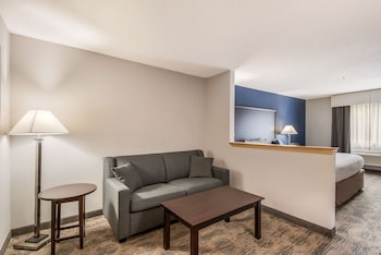 Suite, 1 King Bed