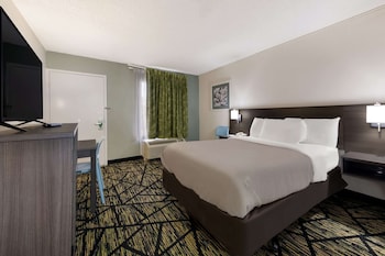 Room, 1 Double Bed, Accessible, Non Smoking