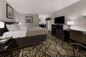 Standard Room, 1 King Bed, Non Smoking