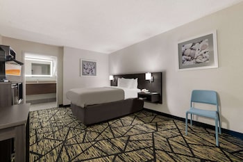 Room, 1 Double Bed, Non Smoking