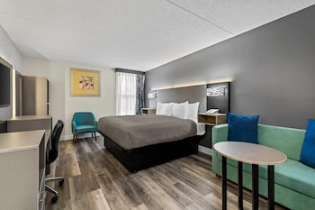 Standard Room, 1 King Bed, Non Smoking, Kitchenette