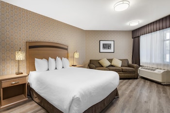 Standard Room, 1 Queen Bed, Accessible, Refrigerator & Microwave (Walk-in Shower;with Sofabed)
