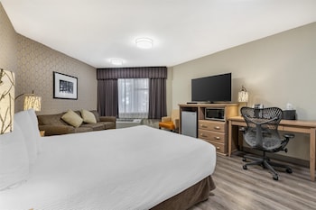 Standard Room, 1 Queen Bed, Accessible, Refrigerator & Microwave (Walk-in Shower;with Sofabed)