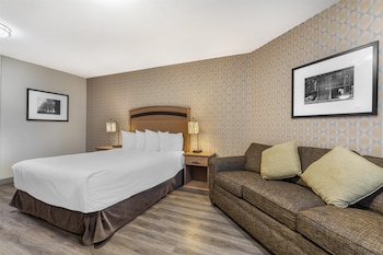 Standard Room, 1 Queen Bed, Accessible, Refrigerator & Microwave (Walk-in Shower;with Sofabed)