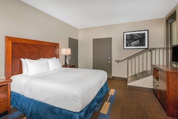 Room, 1 King Bed, Non Smoking, Patio