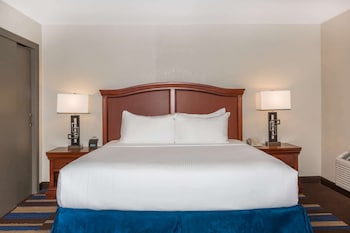 Room, 1 King Bed, Accessible, Non Smoking