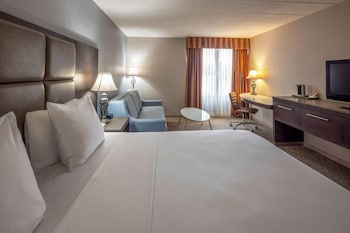 Room, 1 King Bed, Non Smoking