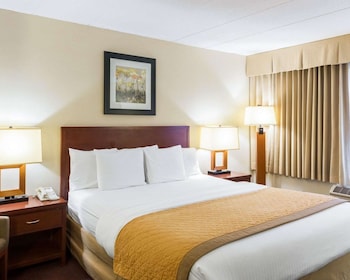 Standard Room, 1 King Bed, Non Smoking