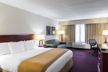 Standard Room, 1 King Bed with Sofa bed, Non Smoking