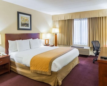 Standard Room, 1 King Bed, Non Smoking