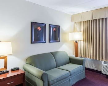 Standard Room, 1 King Bed with Sofa bed, Non Smoking
