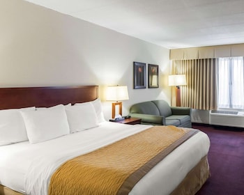 Standard Room, 1 King Bed with Sofa bed, Non Smoking