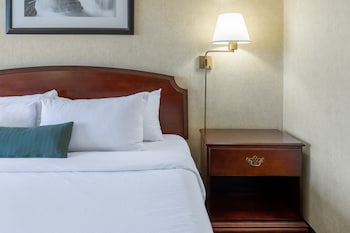 Studio Suite, 1 King Bed, Non Smoking