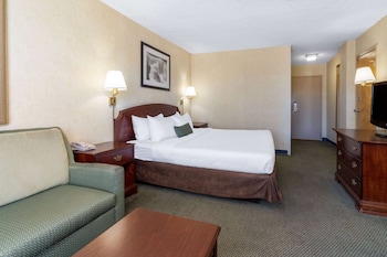 Deluxe Room, 1 King Bed, Non Smoking