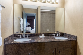 Suite, 1 King Bed, Non Smoking (One-Bedroom Suite)