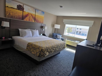 Standard Room, 1 King Bed, Non Smoking