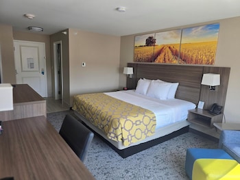 Standard Room, 1 King Bed, Non Smoking