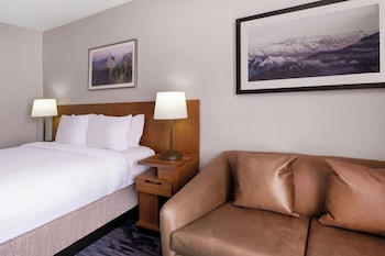 Room, 1 King Bed with Sofa bed, Hearing Accessible