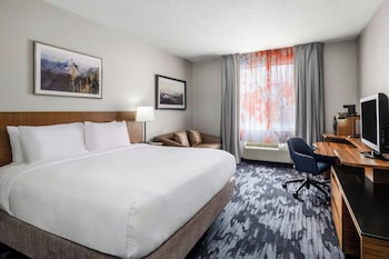 Room, 1 King Bed with Sofa bed, Hearing Accessible
