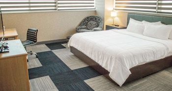 Standard Room, 1 King Bed, Non Smoking (Pet Friendly)