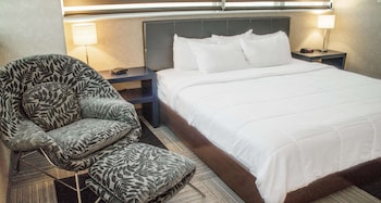 Standard Room, 1 King Bed, Non Smoking (Pet Friendly)