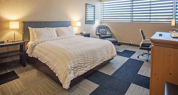 Standard Room, 1 King Bed, Accessible, Non Smoking