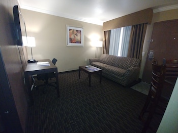 Suite, 1 King Bed, Accessible (Walk-in Shower;with Sofabed)