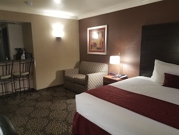 Standard Room, 1 King Bed, Non Smoking, Refrigerator & Microwave (with Single Sofabed)