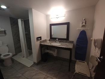 Suite, 1 King Bed, Accessible (Walk-in Shower;with Sofabed)