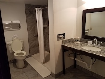 Standard Room, 1 Queen Bed, Accessible (Walk-in Shower)