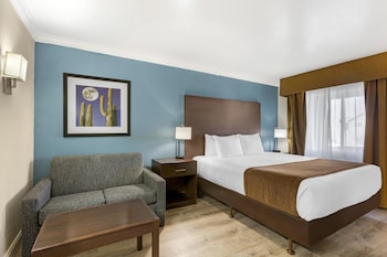 Standard Room, 1 King Bed, Non Smoking, Refrigerator & Microwave (with Single Sofabed)