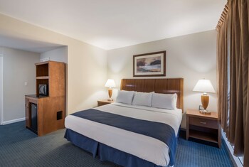 Room, 1 King Bed, Non Smoking