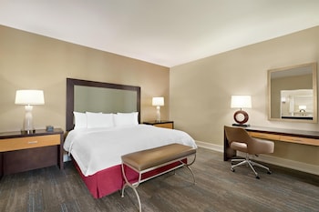 Suite, 1 King Bed with Sofa bed