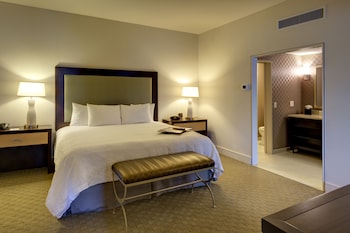 Suite, 1 King Bed with Sofa bed