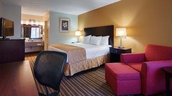 Single Room, 1 King Bed