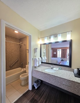Single Room, 1 King Bed