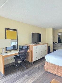 Single Room, 1 King Bed, Pets Allowed